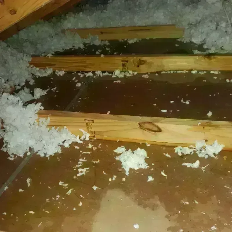 Attic Water Damage in Bayboro, NC